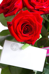 假日时隔绝的红玫瑰 情人节 周年纪念日 问候语 纸 花束 花的图片