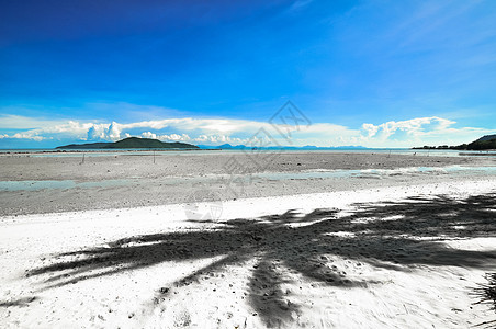 Koh Samui与椰子棕榈在全美热带海滩上图片