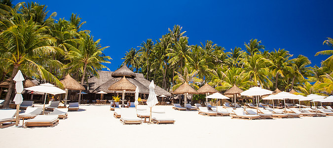 热带阳光明媚的白色热带沙滩 位于美丽的外来度假胜地 支撑 树图片