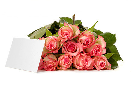 带礼品卡的玫瑰 自然 婚礼 礼物 花瓣 花的 植物图片
