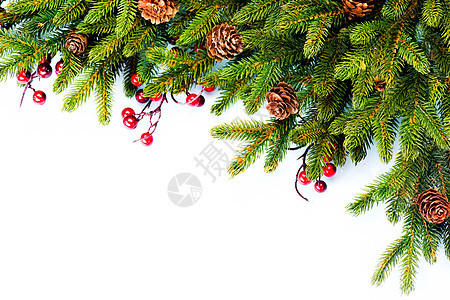 圣诞 长青生林边境设计 假期 树 装饰品 植物 空的图片