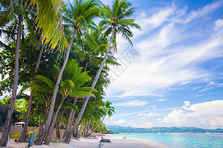 拥有美丽的棕榈和白沙滩的热带海滩 菲律宾 逃离 树图片