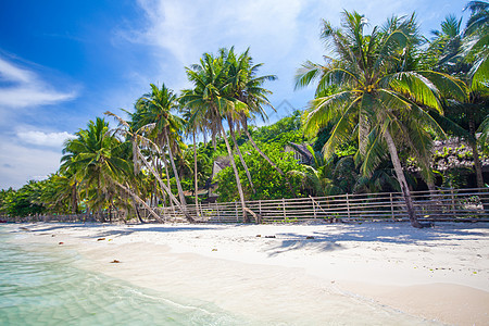 拥有美丽的棕榈和白沙滩的热带海滩 菲律宾 海景 娱乐图片