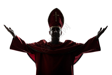 男主教大主教的光彩照亮图片