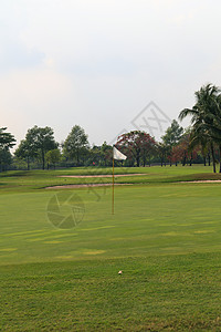 高尔夫球场 假期 打高尔夫球 蓝色的 草地 退休图片
