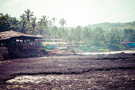 印度果阿 以白湿沙和绿椰子棕榈在低潮下离开Anjuna海滩全景 阴影 波浪图片