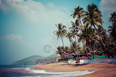 印度果阿 以白湿沙和绿椰子棕榈在低潮下离开Anjuna海滩全景 旅游 热带图片