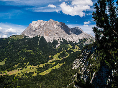 Zugspitze 祖尔皮茨 蒂罗尔 登山 树图片