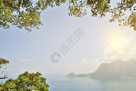 阳光下有森林的海洋风景 旅游 异国情调 海景 飞机图片