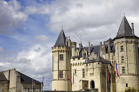 萨穆尔城堡 世界 葡萄栽培 堡垒 历史性 葡萄园 卢瓦尔河谷 纪念碑 旅行图片