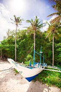 菲律宾波拉凯 Boracay 棕榈之间的菲律宾船 夏天 户外图片