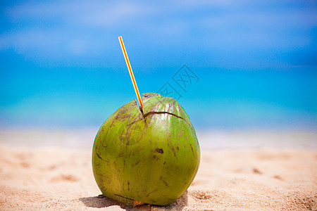 阳光明媚的一天 热带白色沙滩上的大绿色椰子 岛 海滨图片