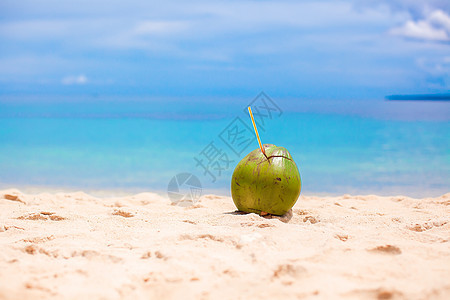 阳光明媚的天气下热带白色沙滩上的椰子 天堂图片