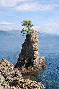 前往意大利利古里亚的波多菲诺 城堡 地中海 意大利语图片