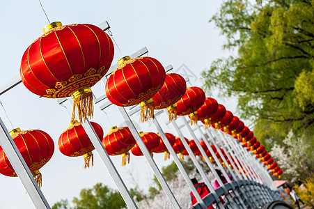 灯笼 椭圆形 庆祝 风俗 繁荣 传统 火 节日图片