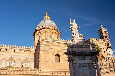 巴勒莫大教堂 西西里 历史 教会 天花板 染色的 门户网站图片