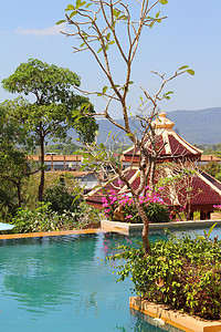 具有池子的热带热带旅馆图片