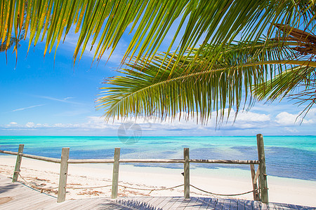 加勒比 特克斯和凯科斯有棕榈和白沙的热带海滩 天空 逃离图片