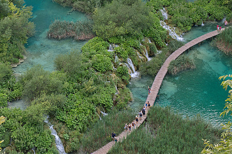 克罗地亚的利茨湖 惊险 森林 旅游 国家的 春天 小路图片