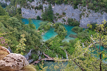 克罗地亚的利茨湖 蓝色的 美丽 森林 欧洲 假期 植物图片