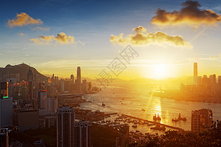 香港日落 亚洲 车 市中心 树 建筑学 打包 九龙 商业图片