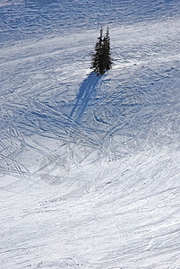 赛道滑雪运动员图片