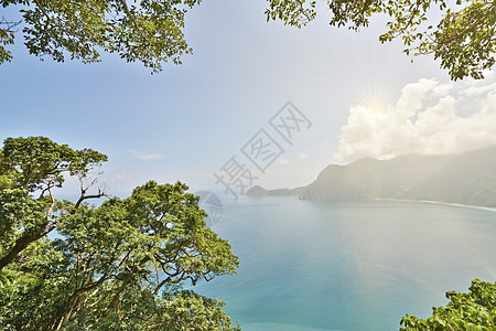 阳光下有森林的海洋风景 海滩 美丽的 夏天 蓝色的 季节图片