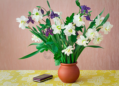 在桌子上的花瓶里放出自恋 静物 小说 水 植物图片