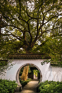 杭州市 宁静 宝塔 植物 建筑学 旅游 湖 旅行图片