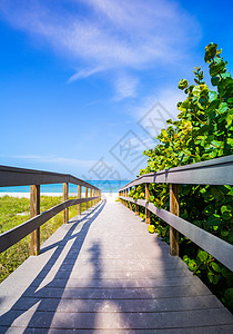 在佛罗里达的海滩上横跨海燕麦 海滨 人行道 皮内拉斯县图片