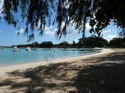 格朗巴伊海滩 海洋 毛里求斯 棕榈 异国情调 天堂 支撑 天空图片