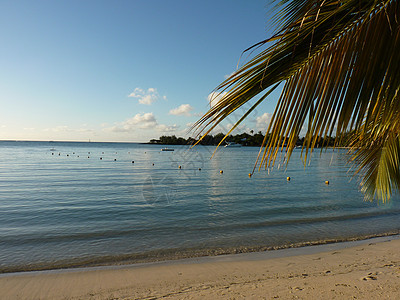 格朗巴伊海滩 岛 船 自然 棕榈 夏天 树图片