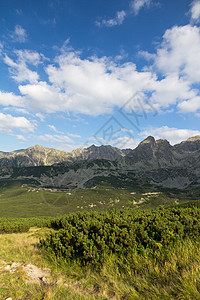 夏月在山上 蓝天空中云彩 国家的 高地 旅游 公园图片