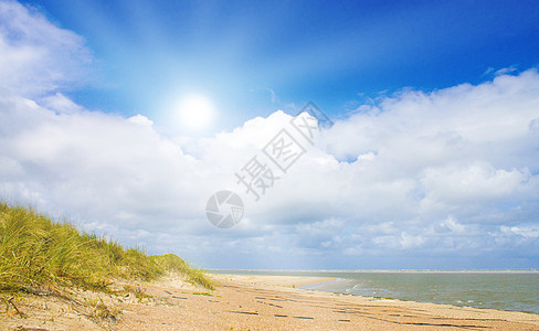 北海美丽美好的一天 夏天 晴天 弗里斯兰 荷兰 美丽的 支撑图片