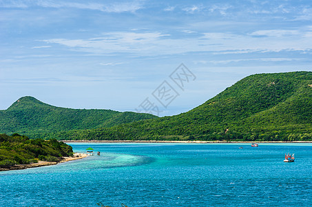 绿色岛屿和海洋自然景观 地球 亚洲 蓝色的 树图片
