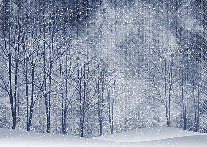 有树木的冬季风景 美丽的 森林 漂亮的 寒冷的 一月 雪图片