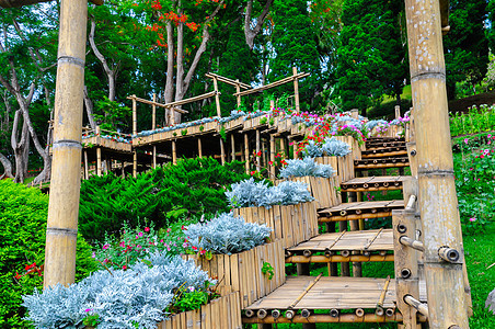 美丽的花园 清除 环境 花朵 季节 天空 蓝色的 农场 风景图片