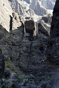 西班牙特纳里夫马萨卡峡谷 石头 假期 欧洲 火山图片