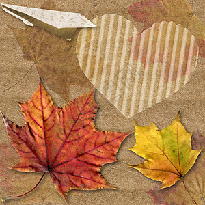 有折纸和心的秋叶图片