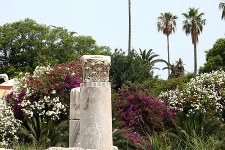 多德卡尼斯科斯岛古集市遗址 历史性 土地图片