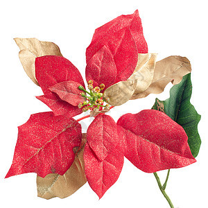 红圣诞勋章 花 人造的 假期 红色的 植物 庆典 季节图片