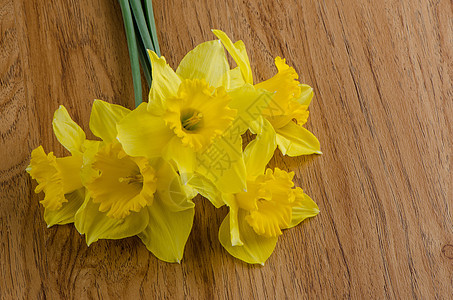 珍奎罗花 开花 礼物 漂亮的 盛开 百合 花瓣 春天图片