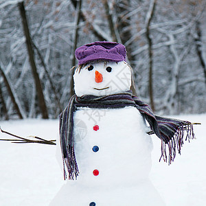 快乐的雪人 圣诞节 漂亮的 户外 一月 冬天 冰冷的 霜 季节图片