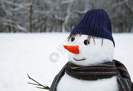 雪人站近身 霜 冰冷的 圣诞节 传统 快乐的 一月 新年图片