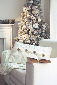 白圣诞节 阅读 舒适 房子 书 温暖的 家具 冬天图片