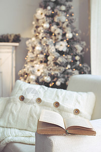 白圣诞节 天 扶手椅 十二月 树 阅读 灯 毯子 乡村图片