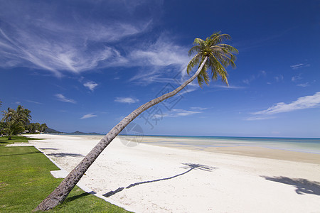 带椰子的海滩 夏天 冲浪 泻湖 蓝色的 游泳 天空图片