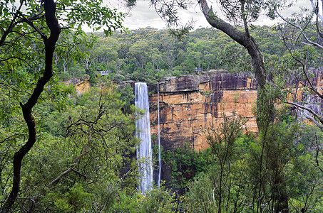 澳大利亚菲茨托里瀑布的灌丛观图片