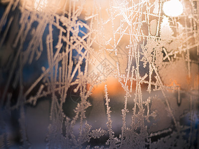 Frost抽象背景 水 树 季节 庆典 雪花 雪图片
