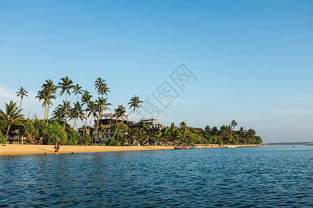 印度洋海滨 树 晴天 放松 棕榈 夏天 贝鲁瓦拉 蓝色的图片
